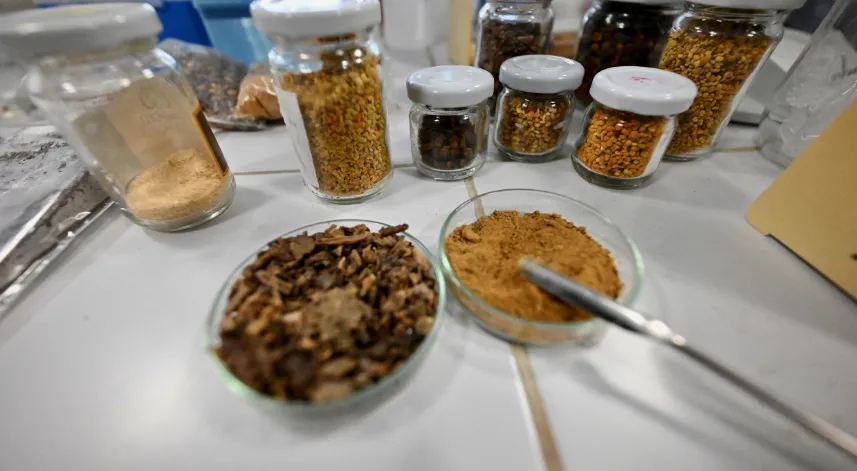 Çocuklarda propolis tüketiminin büyüme ve gelişime etkileri araştırıldı