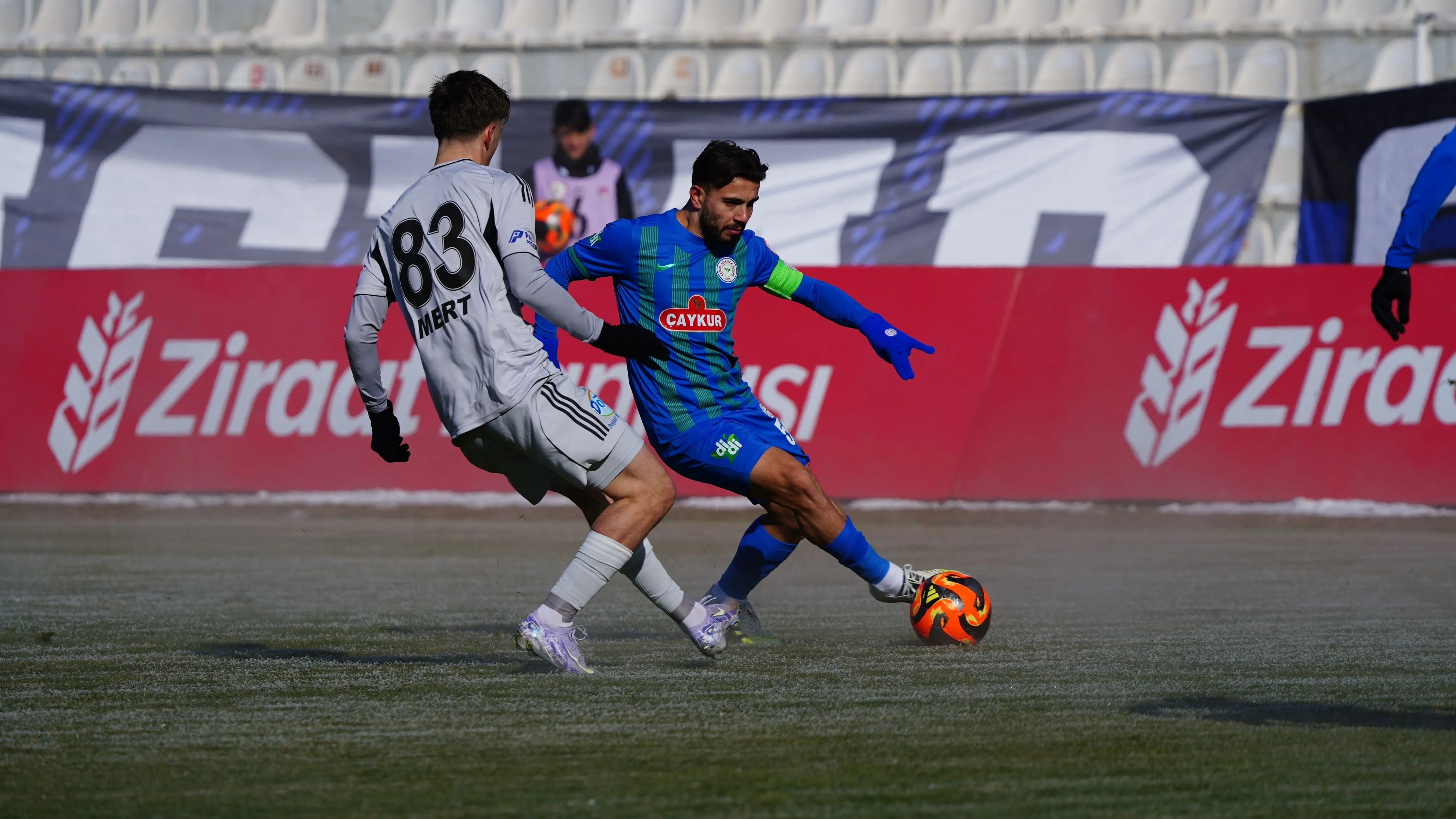 Atmaca Erzurum'da buz tuttu