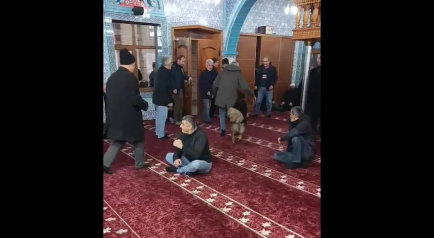 Camiye giren sokak köpeği, cemaatin arasında dolaştı