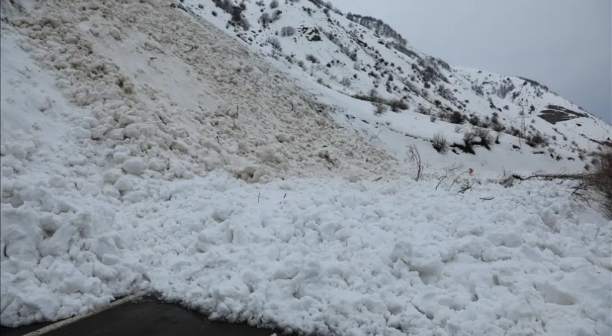 Giresun’da hayvanlarını otlatan çoban çığ altında kaldı