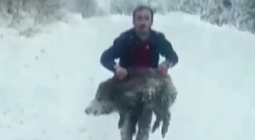 Sinop’ta yavru domuzu elleriyle yakalayan kişinin cezası iptal edildi