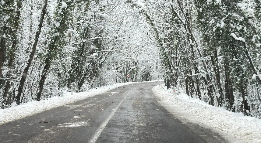 'Ağaç tünel yol'da, kar yağışı sonrası ortaya çıkan manzara görüntülendi