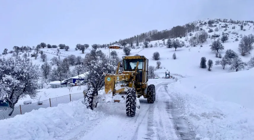 Giresun ve Gümüşhane'de 84 köy yolunda karla mücadele sürüyor