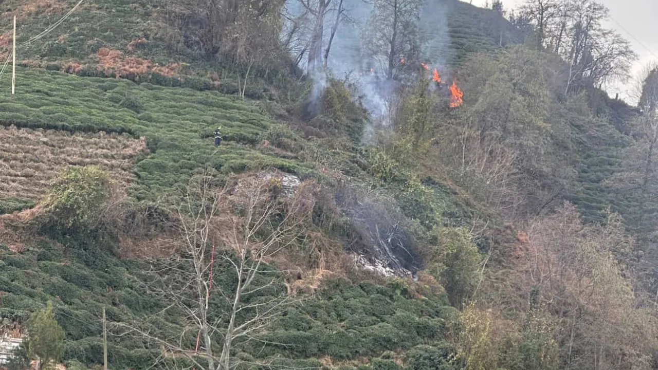 İslampaşa Mahallesi’nde Anız Yangını Korkuttu