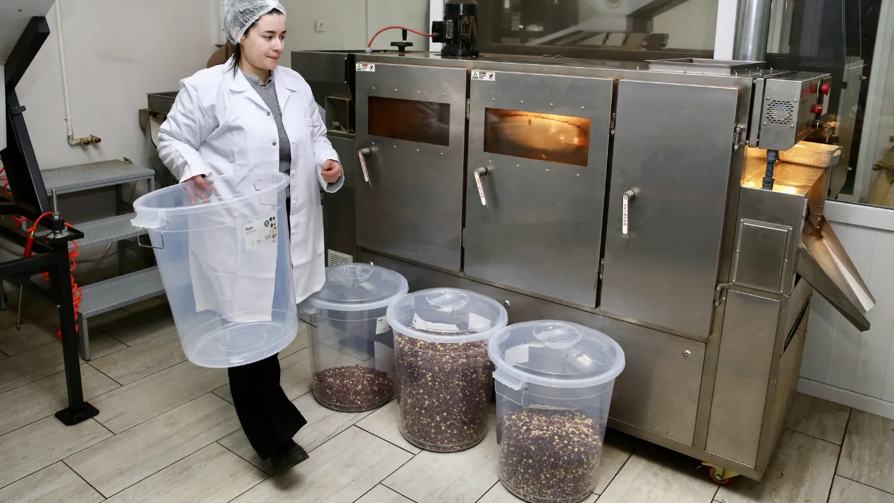 Fındık işleme tesisi için devlet desteği alan kadın, kendi işinin patronu oldu