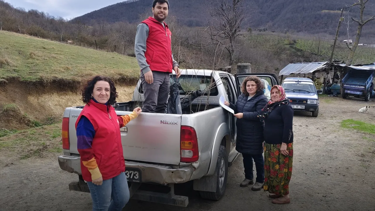 19 Mayıs ilçesinde kestane üretimini artırmak için çalışma yürütülüyor