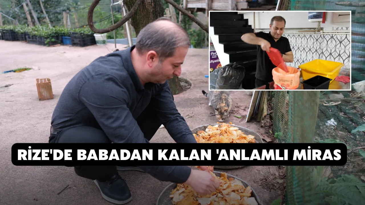 Babadan kalan 'anlamlı miras'; lokantada artan yiyecekleri sokak kedilerine götürüyor