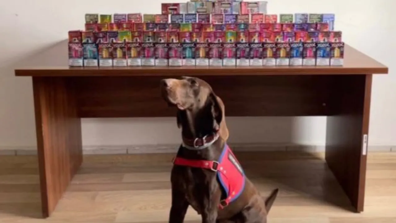 Yol kontrolünde kaçak elektronik sigaralar ele geçirildi