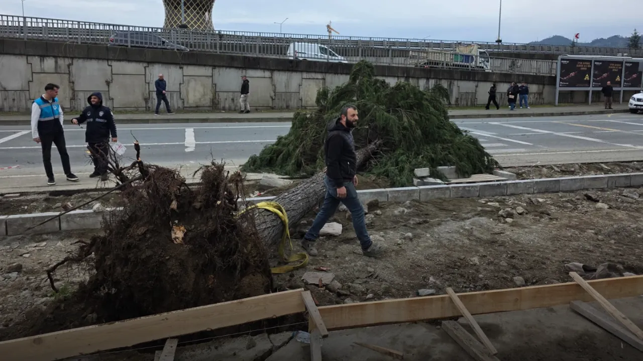 Rize’de fırtına; yol kenarındaki ağaçlar devrildi