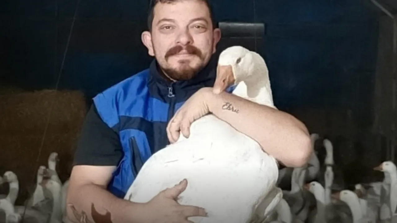 Türkiye’nin ilk kaz kooperatifi Samsun’da kuruldu