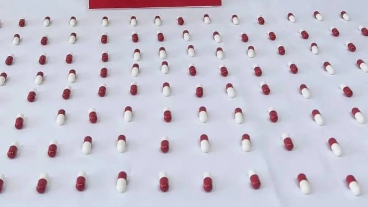 Ordu'da uyuşturucu operasyonunda yakalanan zanlı tutuklandı