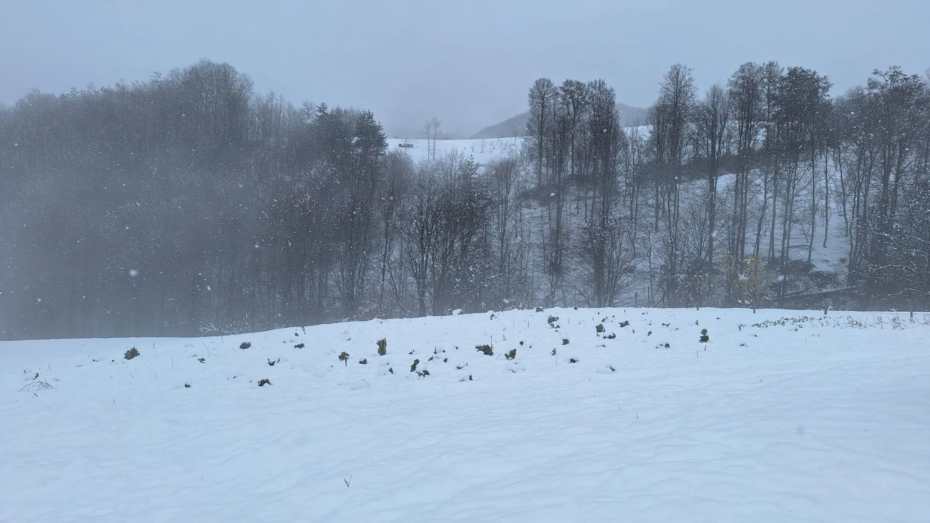 Düzce'nin yüksek kesimlerine kar yağdı