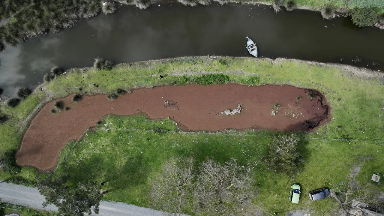 Kızılırmak Deltası Kuş Cenneti baharın gelişiyle hareketlenmeye başladı