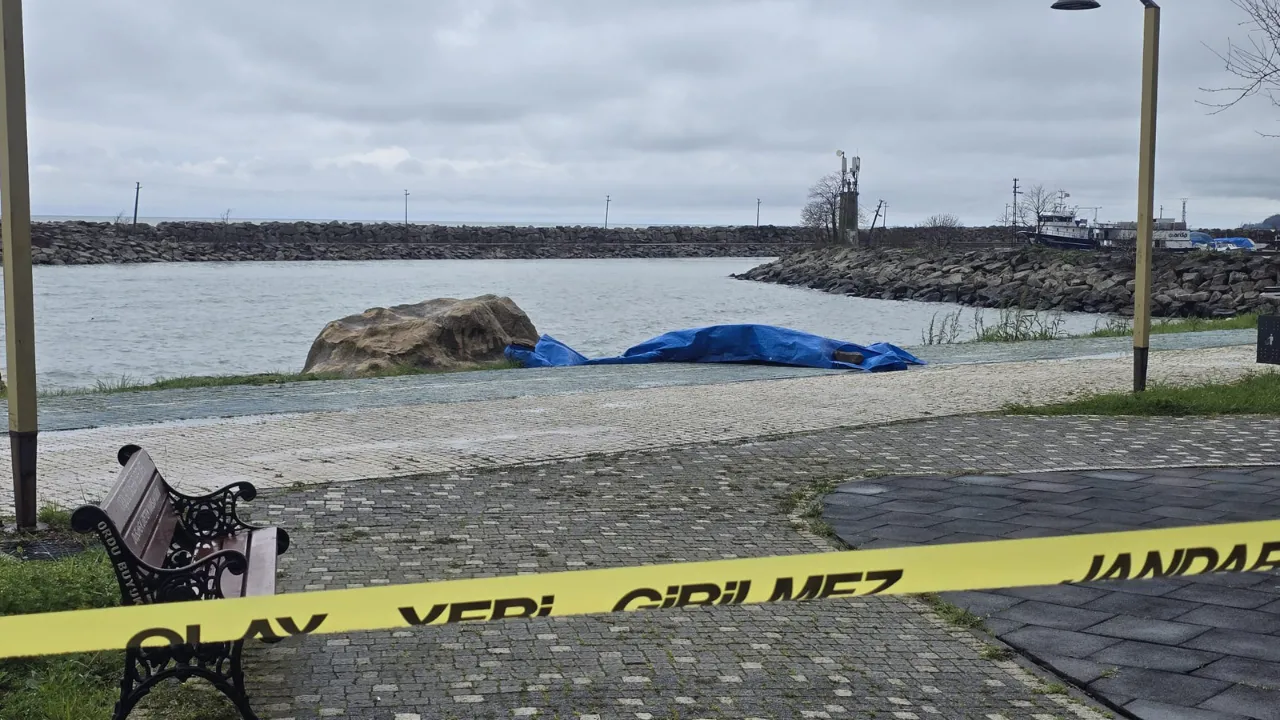 Ordu'da sahile insansız araç olduğu değerlendirilen cihaz vurdu