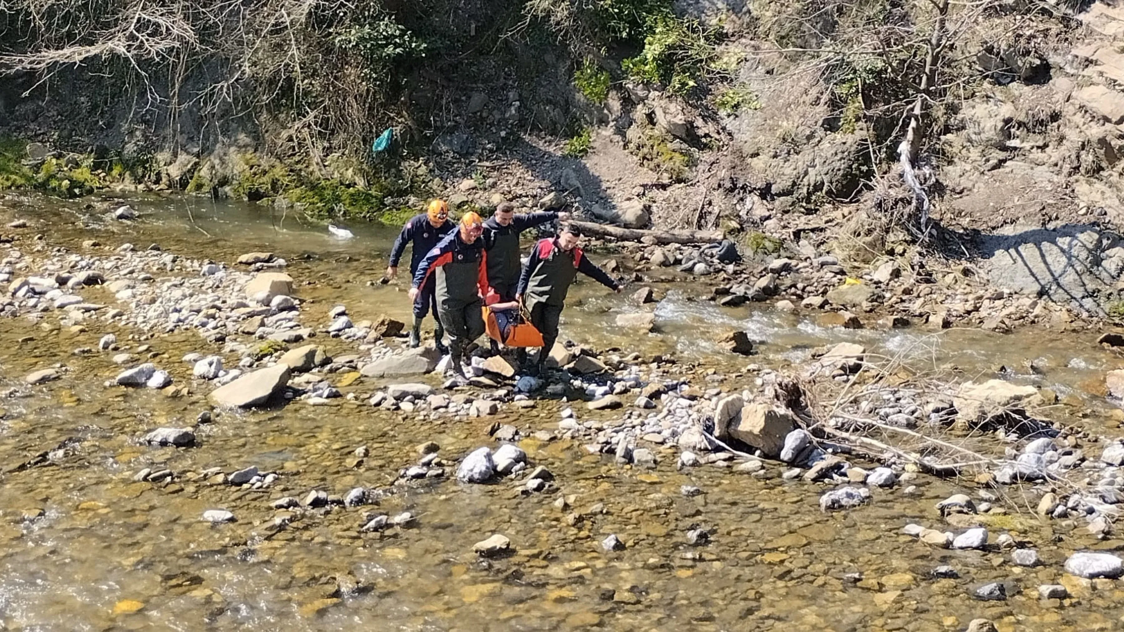 Defne yaprağı topladığı sırada yüksekten düşen kadın yaralandı