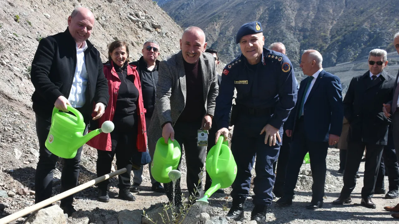 Artvin'de 450 zeytin fidanı toprakla buluştu