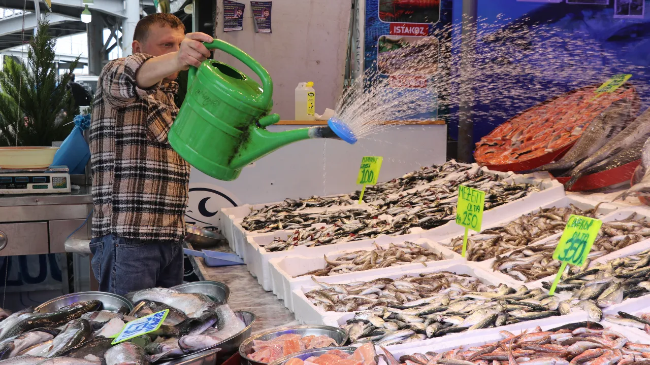 Rize'de istavritin kilogramı 200 liradan satılıyor