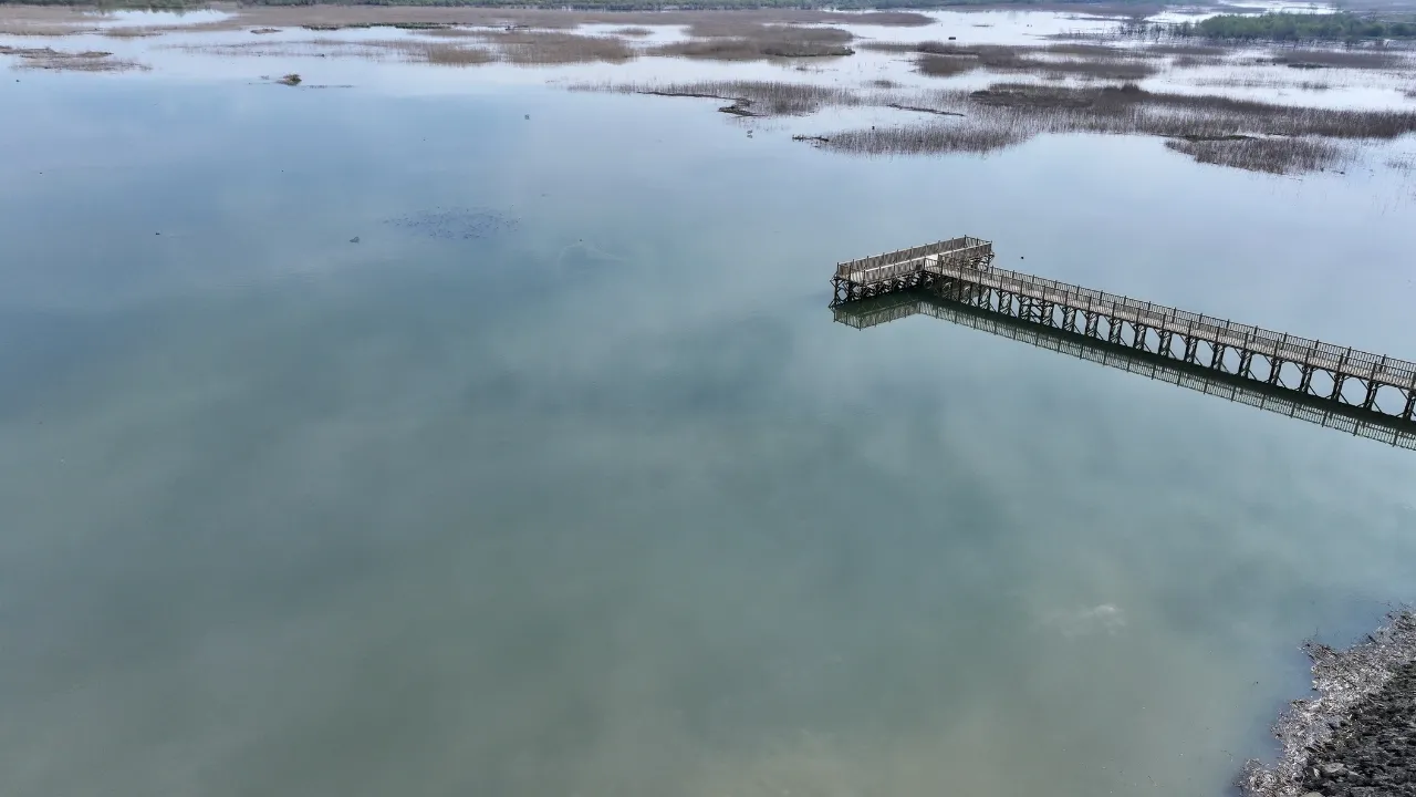 Son yağışlarla suya doyan Efteni Gölü sürdürülebilir su yönetimi projeleriyle koruma altında
