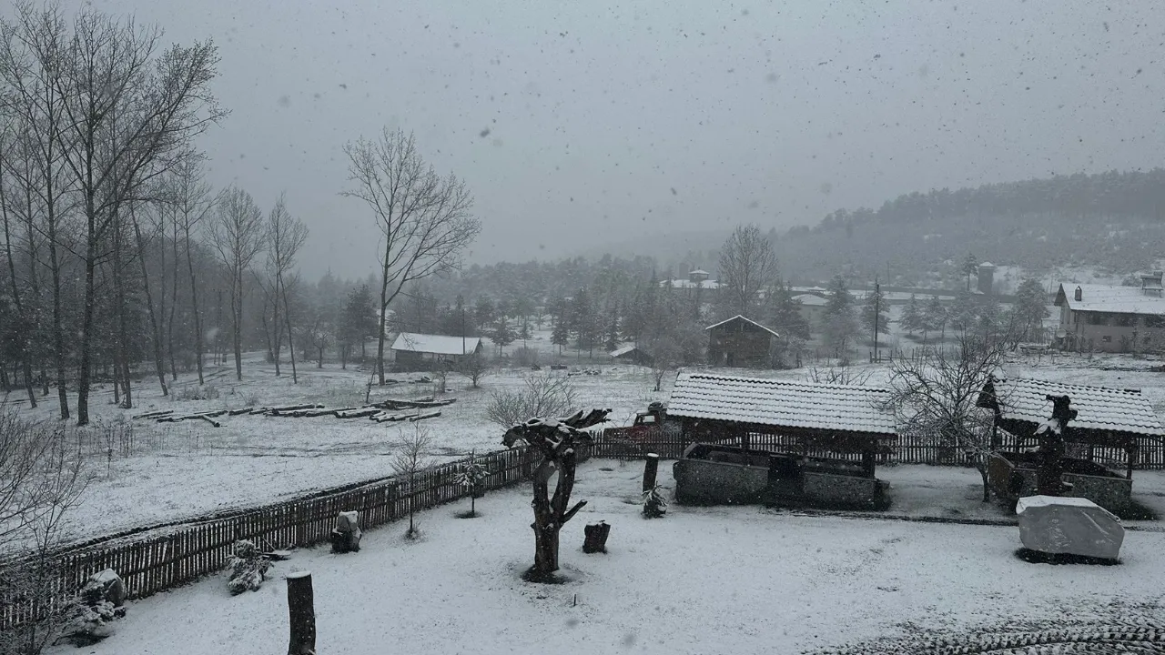 Niksar'da kar yağışı etkili oldu