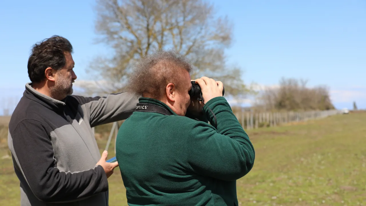 Kız kuşlarının Kızılırmak Deltası'nda üreyebilmesi için keskin uçlu sazlar temizlendi