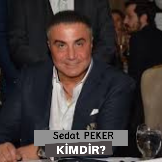 Sedat Peker Kimdir