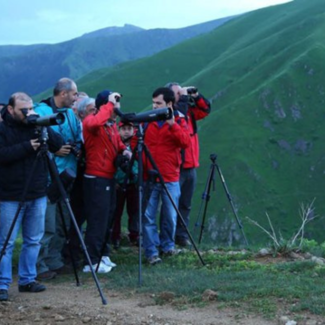 Rize'de Kuş Gözlemciliği