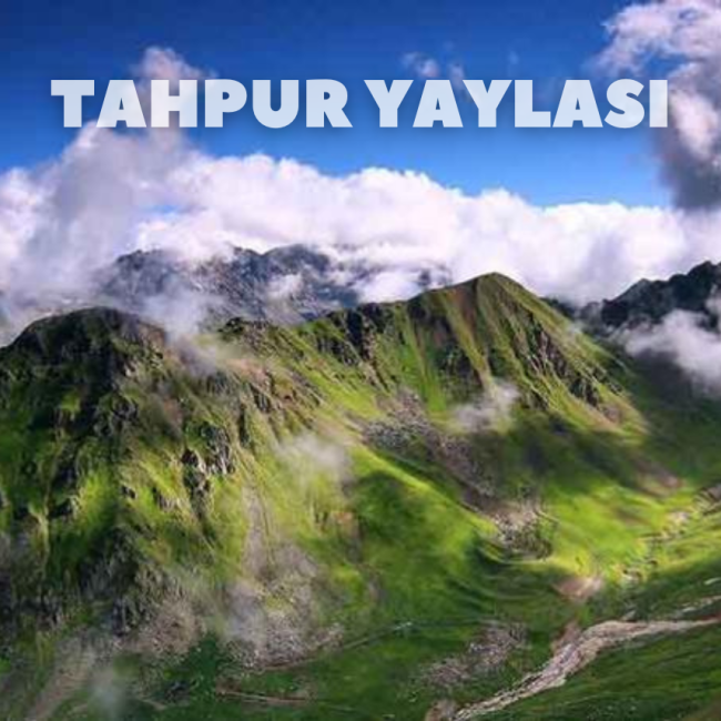 Tahpur Yaylası