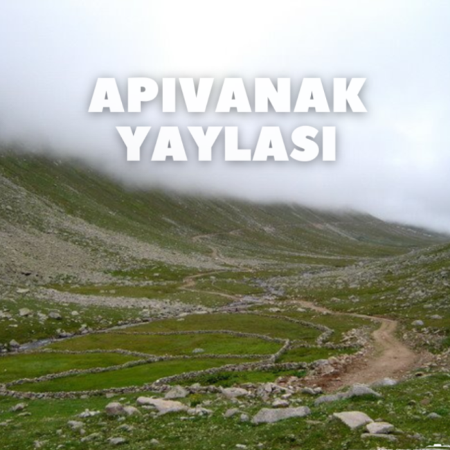 Apivanak Yaylası