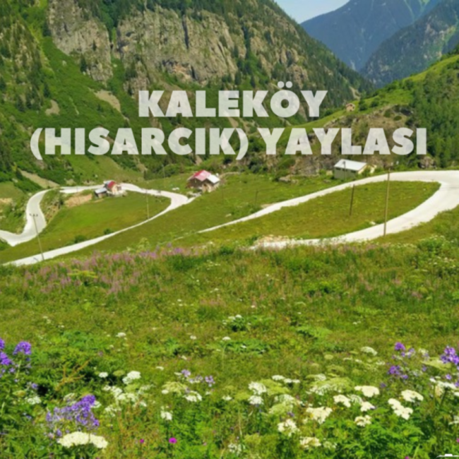 Kaleköy (Hisarcık) Yaylası