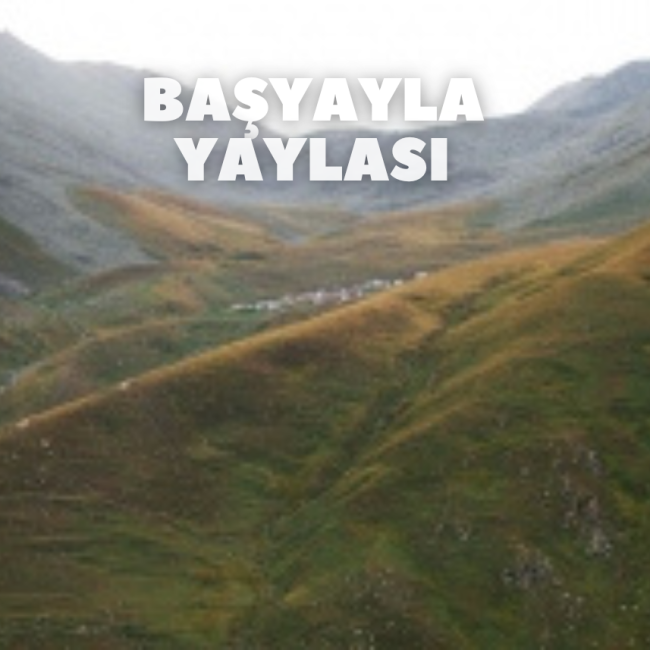 Başyayla Yaylası
