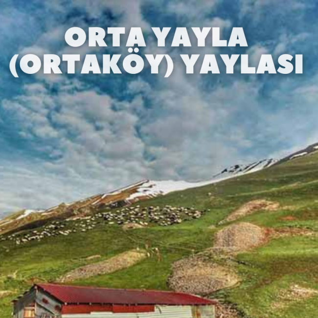 Orta Yayla (Ortaköy) Yaylası