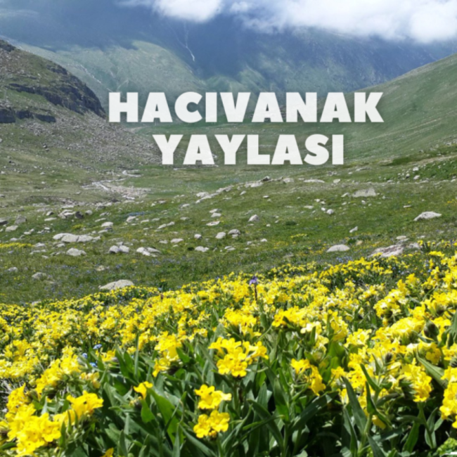 Hacıvanak Yaylası
