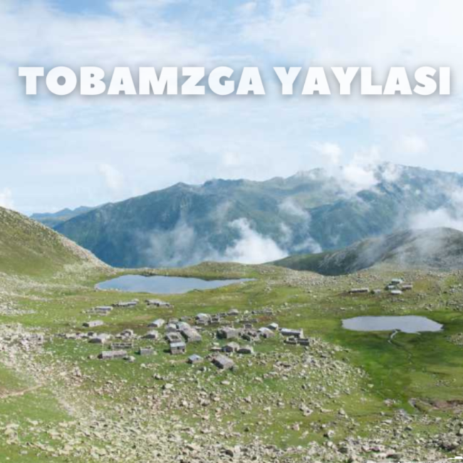 Tobamzga Yaylası