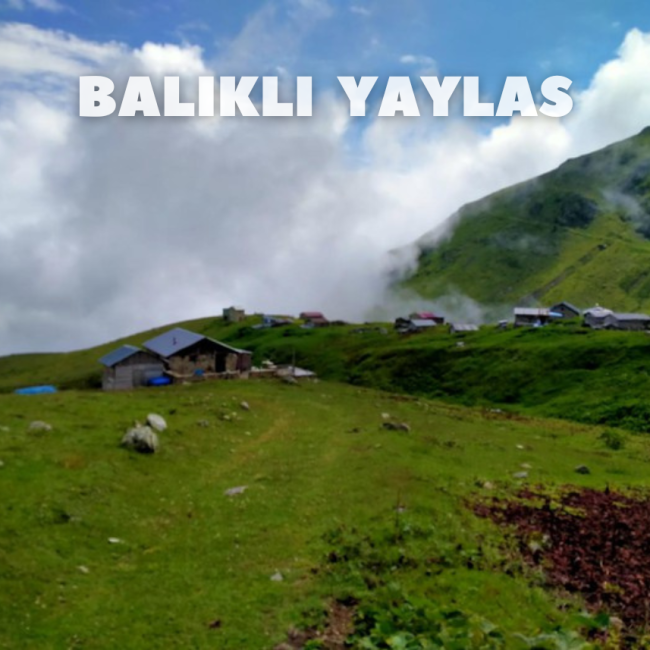 Balıklı Yaylası