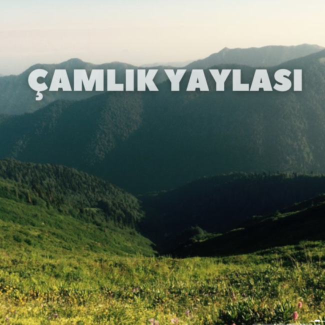 Çamlık Yaylası