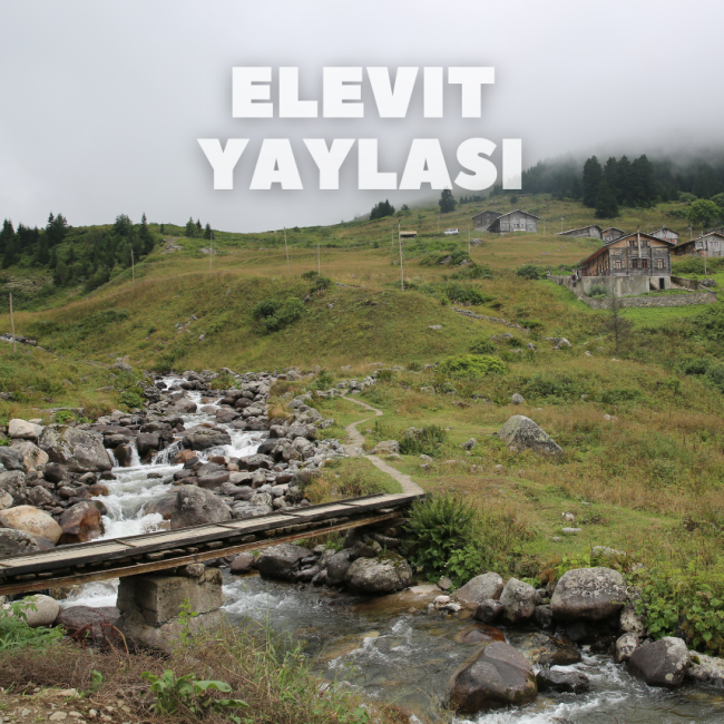Elevit Yaylası