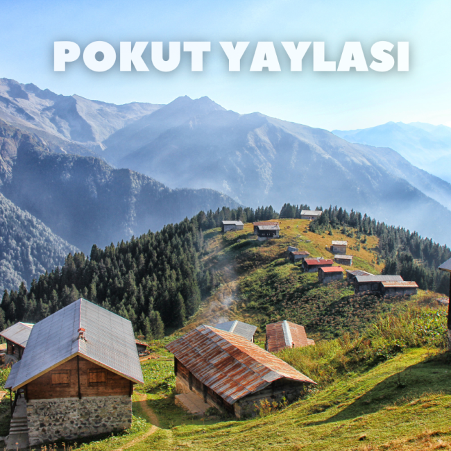 Pokut Yaylası