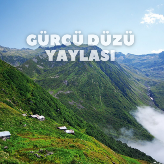 Gürcü Düzü Yaylası