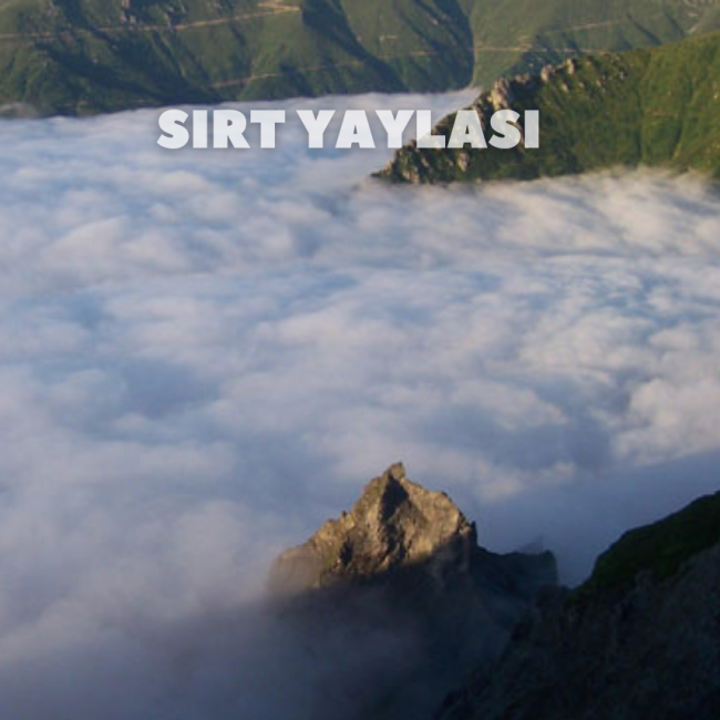Sırt Yaylası