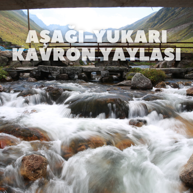 Aşağı-Yukarı kavron yaylası