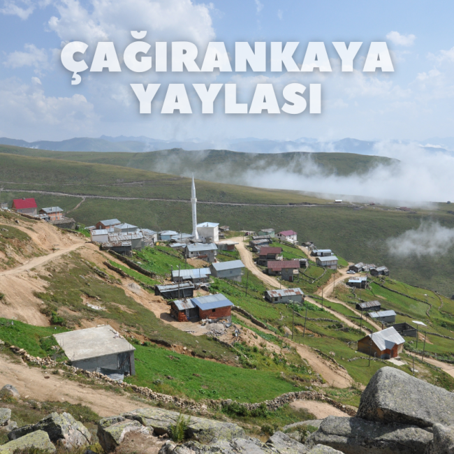 Çağırankaya Yaylası