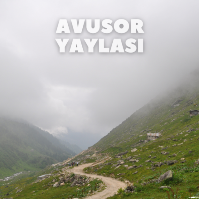 Avusor Yaylası