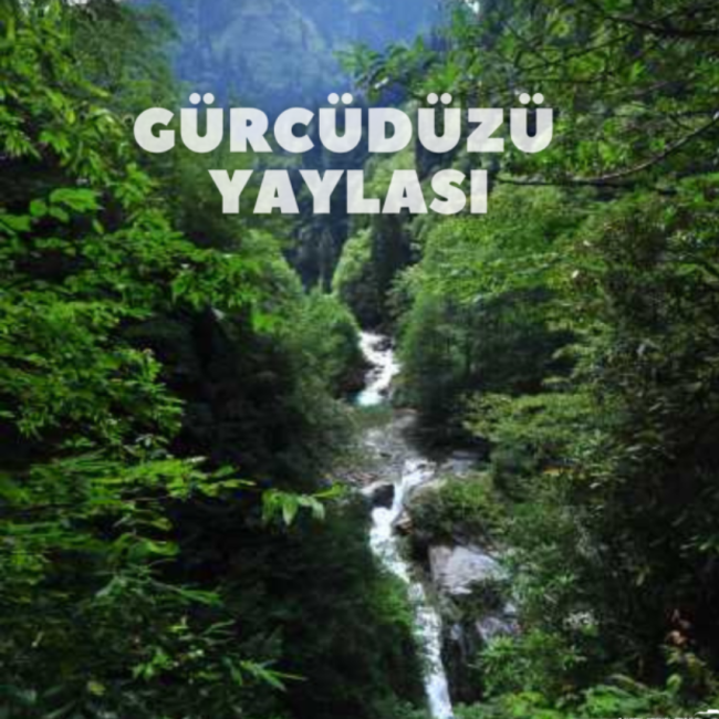 Gürcüdüzü Yaylası