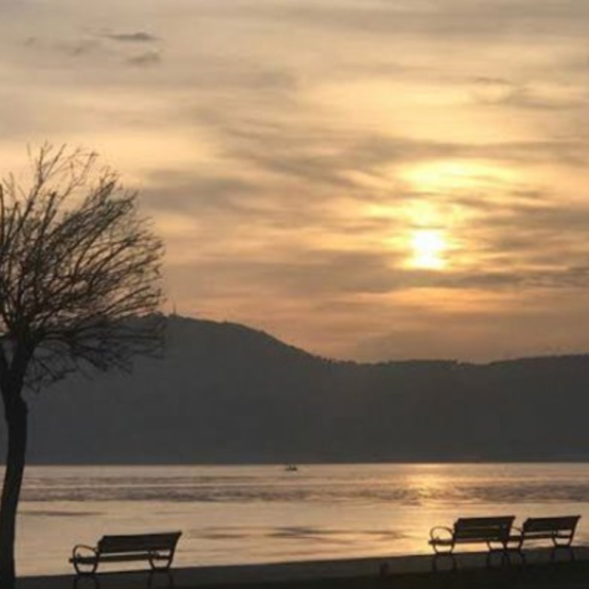 Gözüm Seni Arıyor