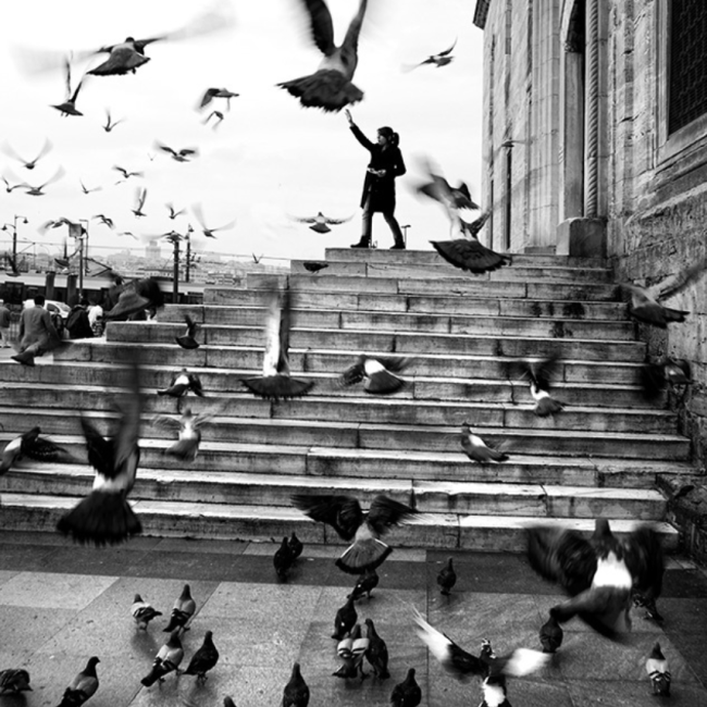 Fırtına çocukları