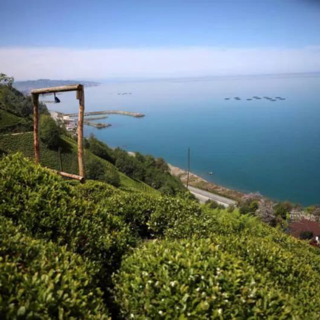 Lazlakar da nostalji