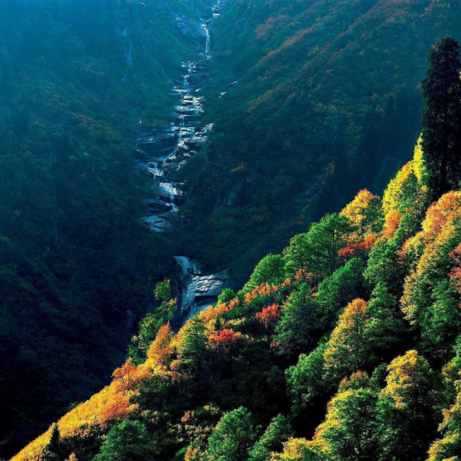 Gel sevdiğim gitme zamanı geldi