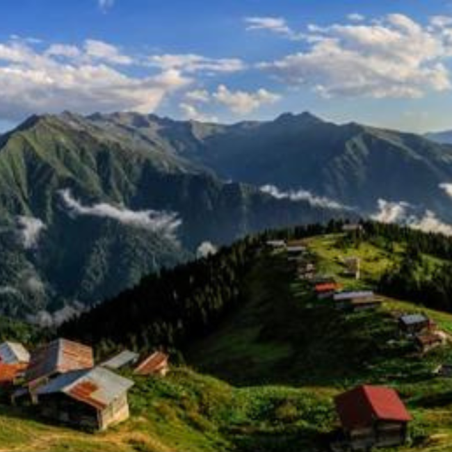 Fırtına - Göç vakti