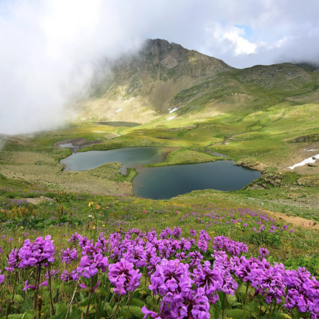 Rize'den Kemer'e Dek