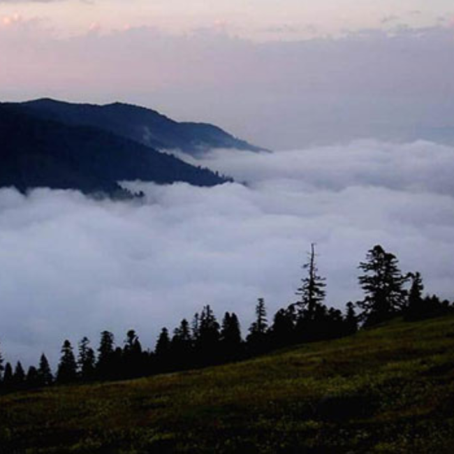 Rize Güzel Memleket
